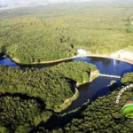 Vista del bosco del Foglino e laghetto Granieri a Nettuno nel Lazio